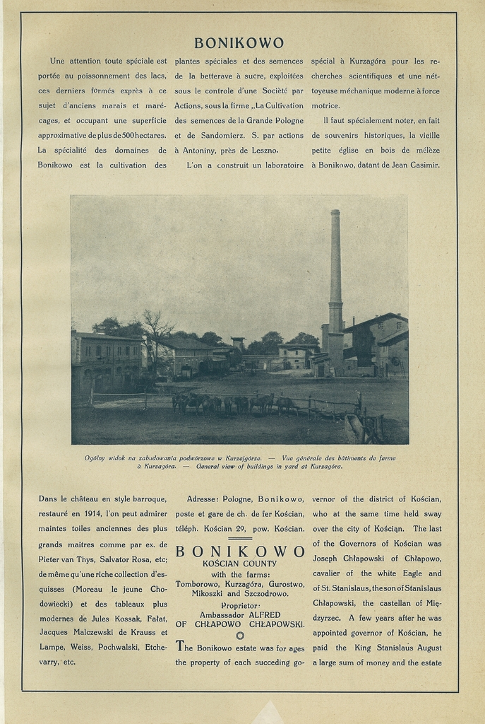 010 bonikowo.jpg